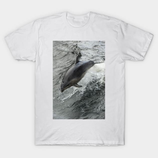 Dolphin T-Shirt by fotoWerner